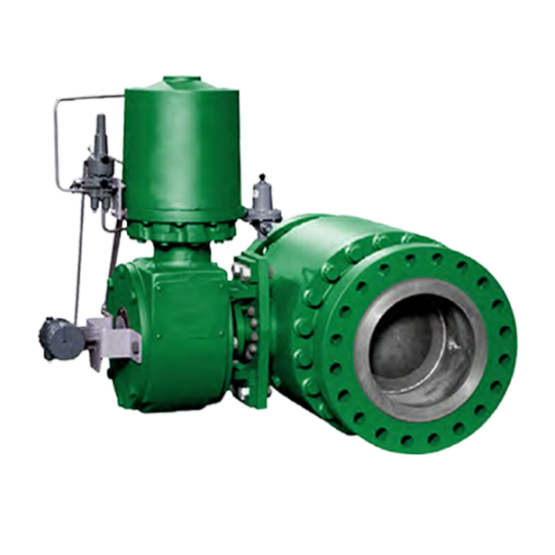 FISHER™ V260 Control Valve