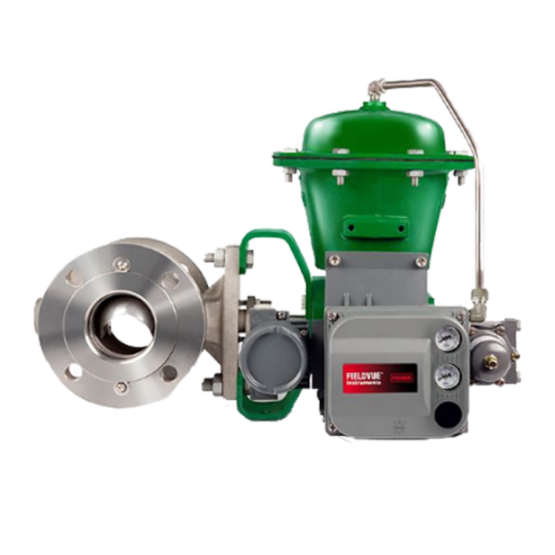 FISHER™ Vee-Ball™ V300 Flanged Control Valve