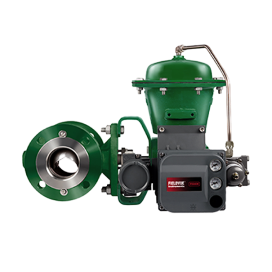 FISHER™ Vee-Ball™ V150 Flanged Control Valve